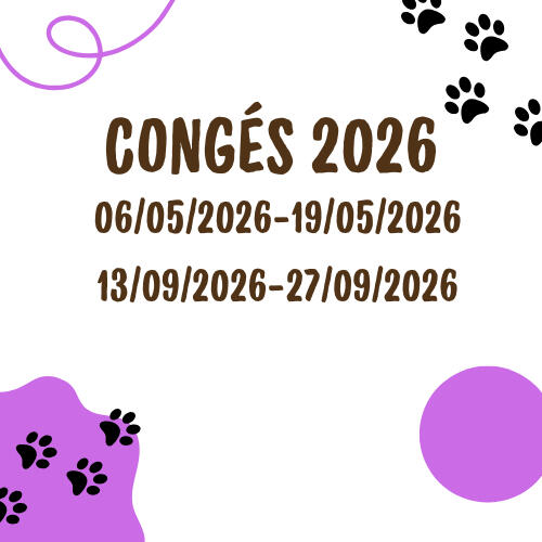 Congés 2026