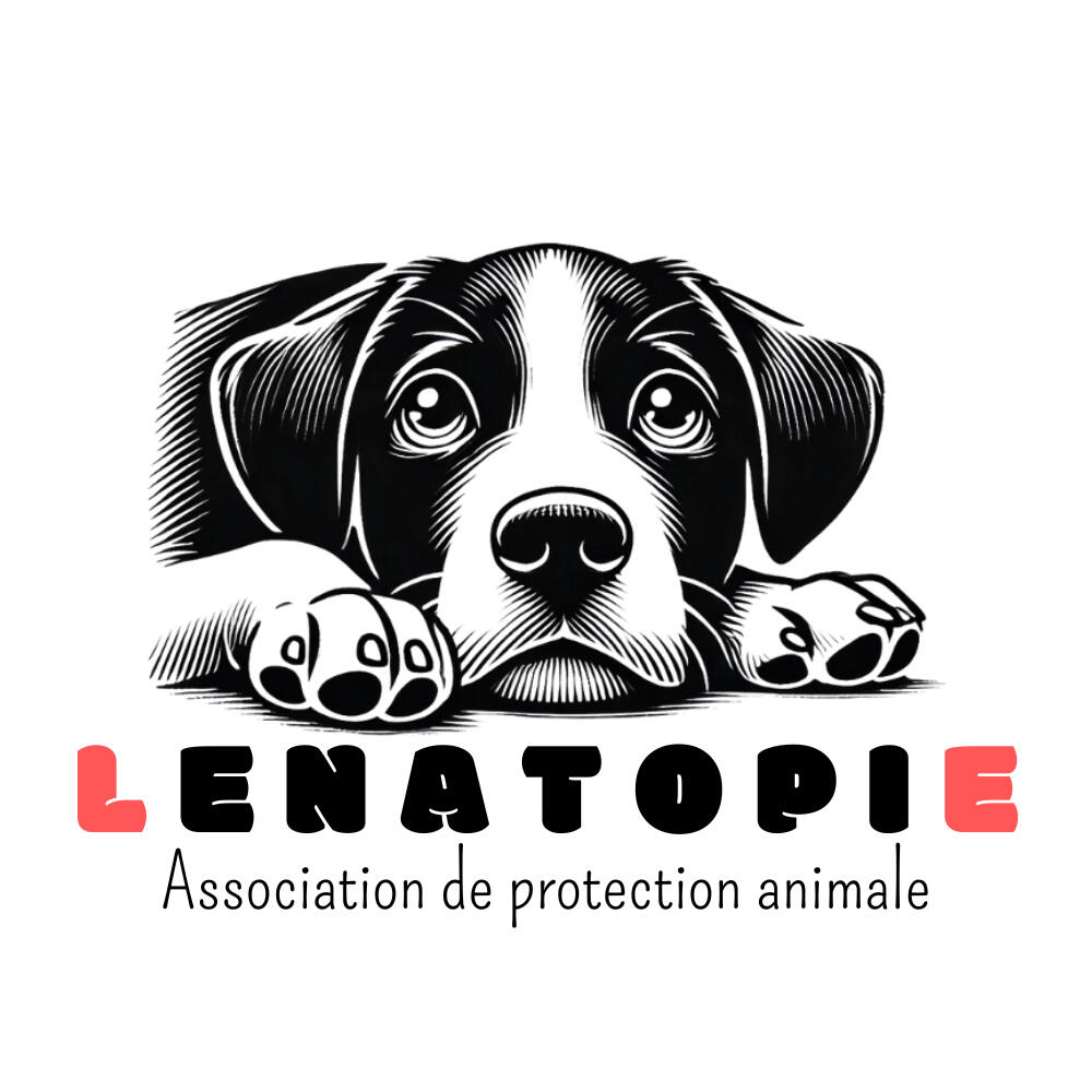 Lenatopie est l'une des associations dont je suis partenaire j'offre des gardes au familles d'accueil et 15% de réduction aux adoptant.es , je les soutiens également financièrement par don mensuel.